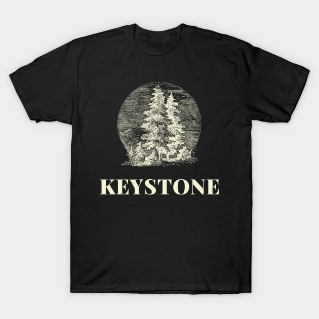 Keystone Vintage T-Shirt by victoria@teepublic.com